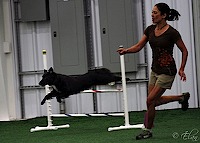 1002542_10200773352589191_253555290_n-1