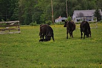 10295045_10152102952031434_7100527784186351255_o