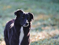 10846108_10205555401107055_5504736870210709125_n