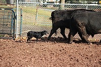 255813_10151197055126434_1951782309_o