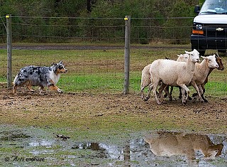 2get-attachment.aspx