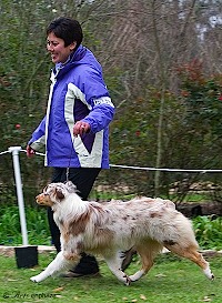 4get-attachment.aspx