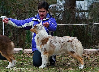 8get-attachment.aspx