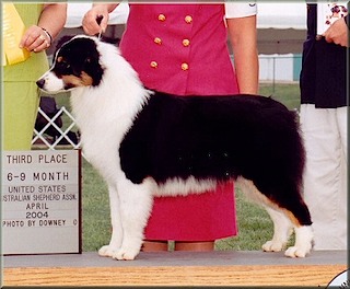 abbey_nationals_closeup