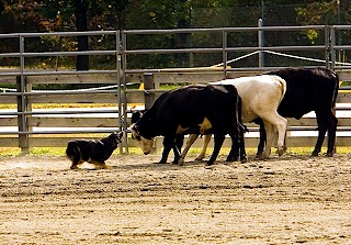 c_img_6058_1!102207173810-10e68a2e