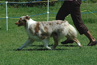 DDS2008_2527