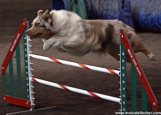 IMG_0483webready525x375