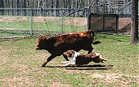 IMG_0651
