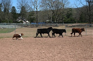 IMG_0657