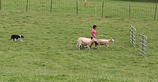 IMG_2305